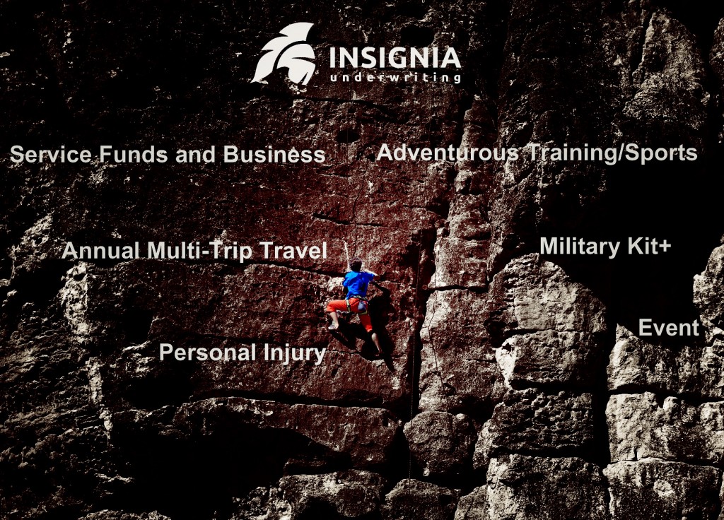 Insignia Product Picture 2